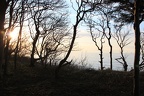 20120408 15 Warnemuende knorrig