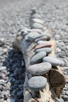 IMG 7803