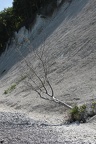 IMG 7804