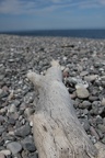 IMG 7806