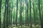 IMG 7817