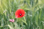 IMG 7820
