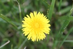 IMG 7826