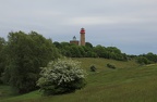 IMG 7829