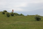 IMG 7847